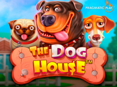 Red dog casino no deposit bonus codes 202318